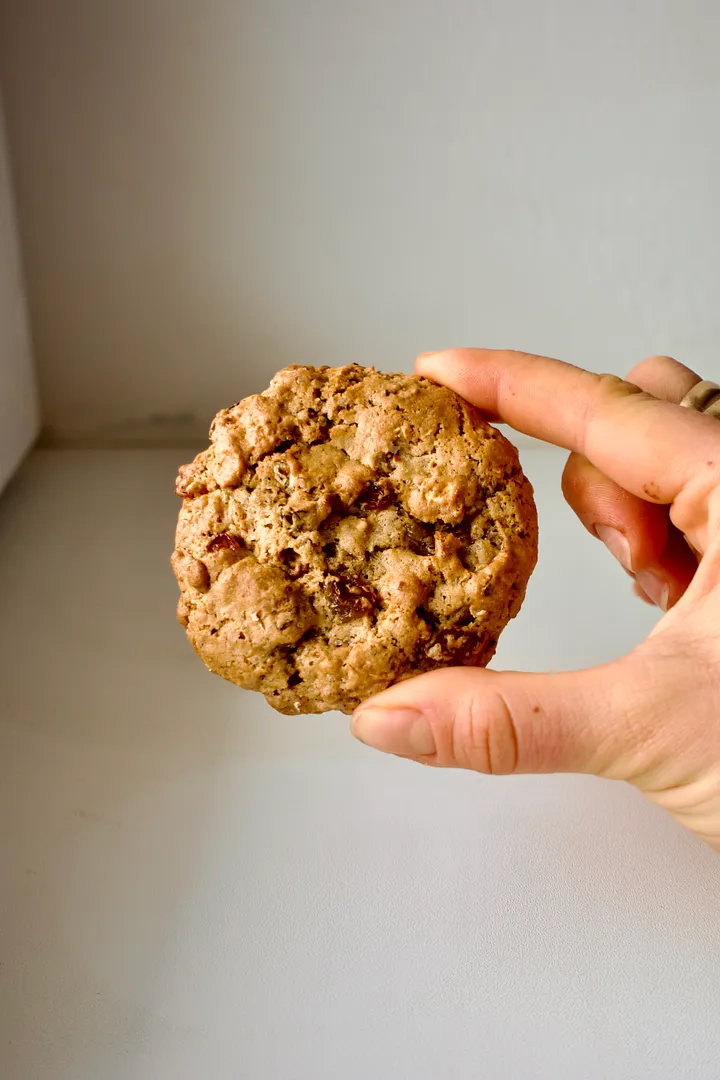 Toasted Oatmeal Cookie with Low Fat Content